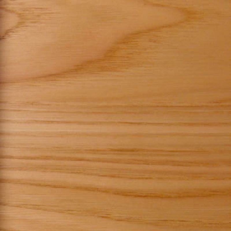 Leonardo design